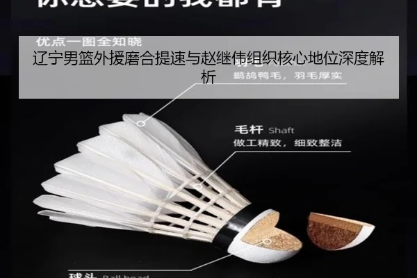 辽宁男篮外援磨合提速与赵继伟组织核心地位深度解析